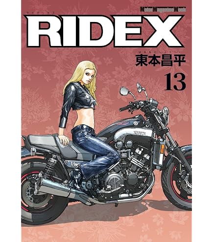 ライデックス　全巻セット RIDEX 全巻ライデックス 全20巻 rider